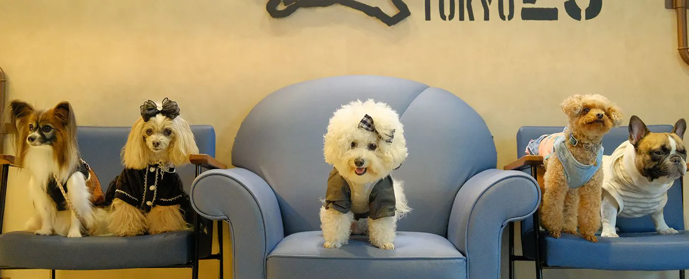 ドッグフレンドリーホテル