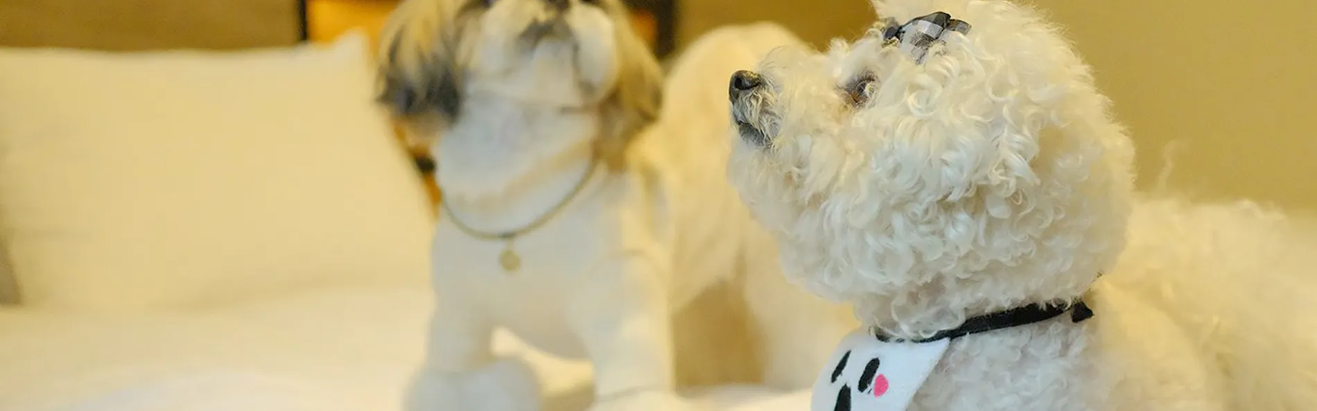 イチホテル浅草橋