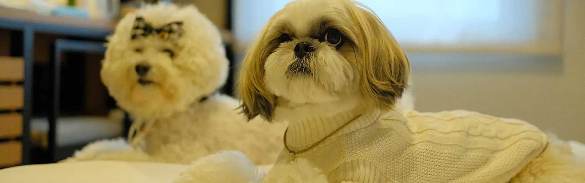 イチホテル浅草橋
