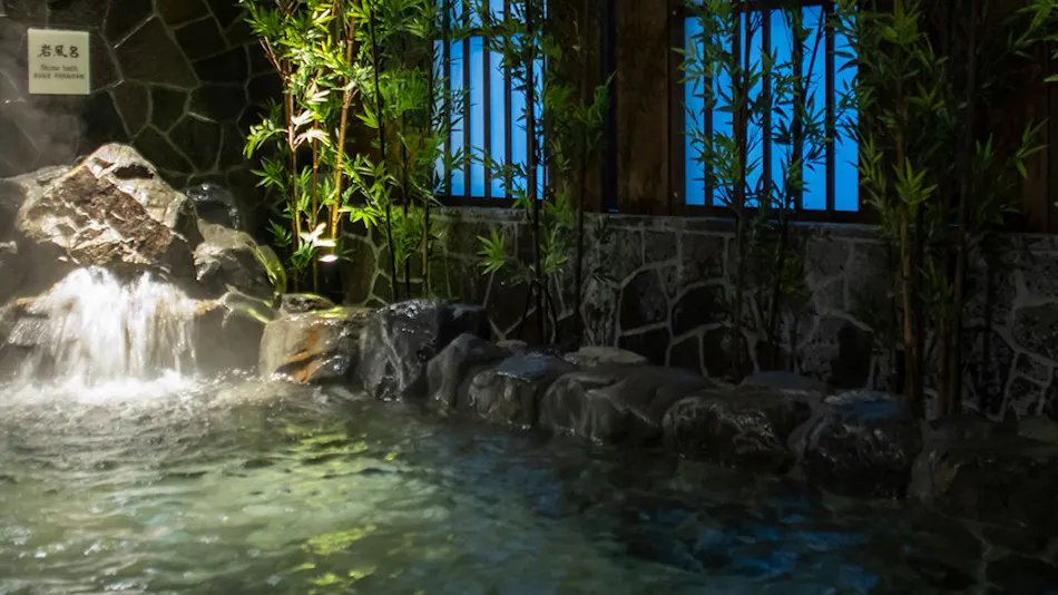 Natural Hot Spring Renge no Yu Onyado Nono Kyoto Shichijo (Dormy Inn Chain)