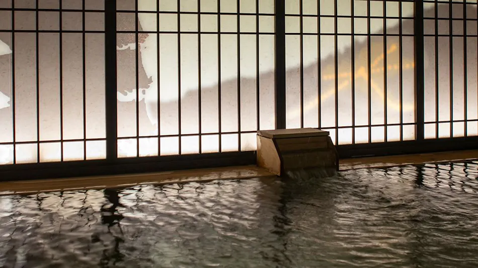 Natural Hot Spring Renge no Yu Onyado Nono Kyoto Shichijo (Dormy Inn Chain)