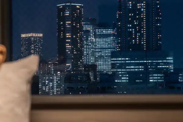 วิวกลางคืน