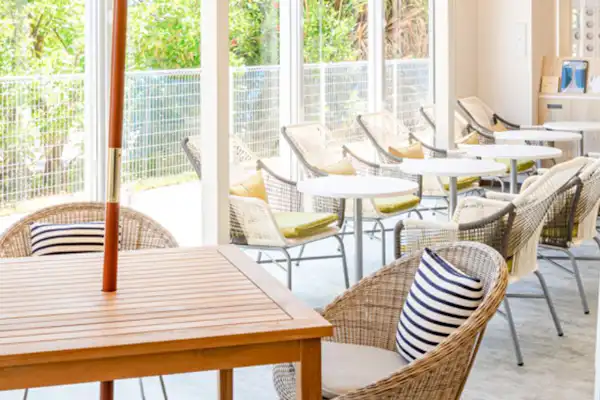 Comfort Library Cafe