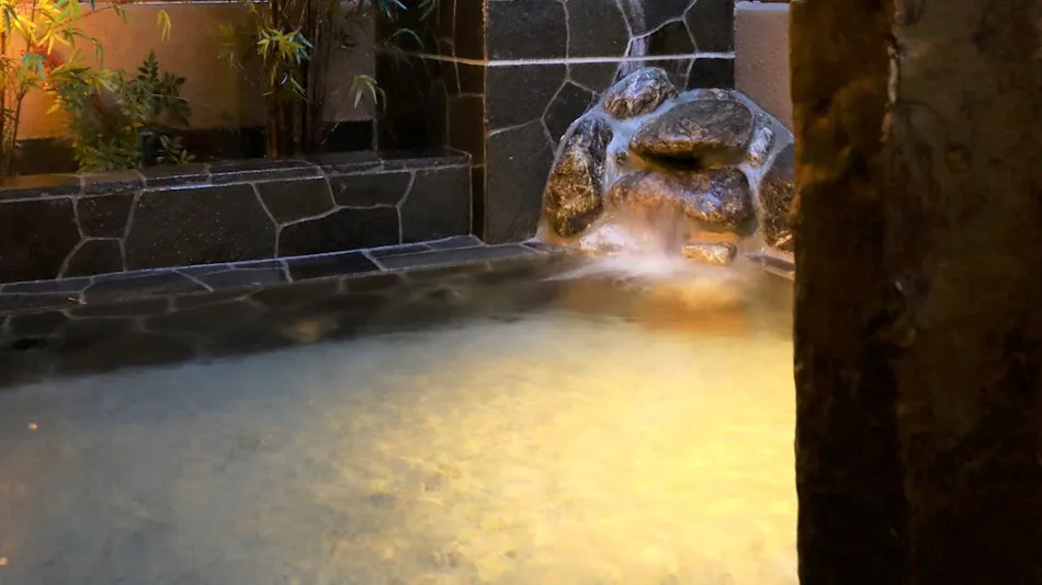 Natural Hot Spring Houjou no Yu Dormy Inn Ikebukuro