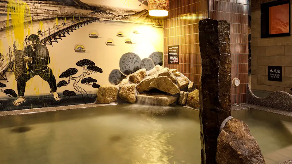 Natural Hot Spring Tsutsuji no Yu Dormy Inn EXPRESS Toyohashi