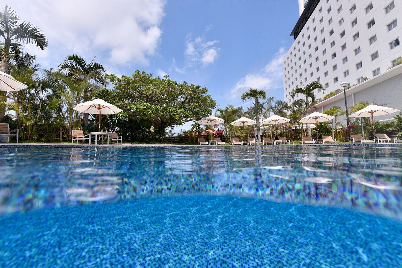 花园泳池（3月中旬至10月的季节性营业）