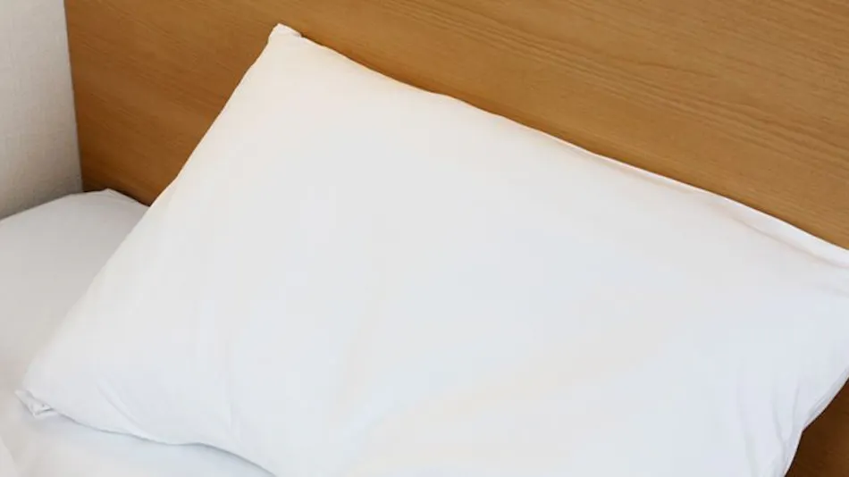 Comfort Hotel Tokyo Kiyosumi Shirakawa