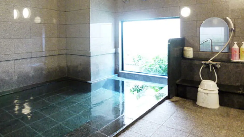 Hotel Route-Inn Aomori Chuo Inter