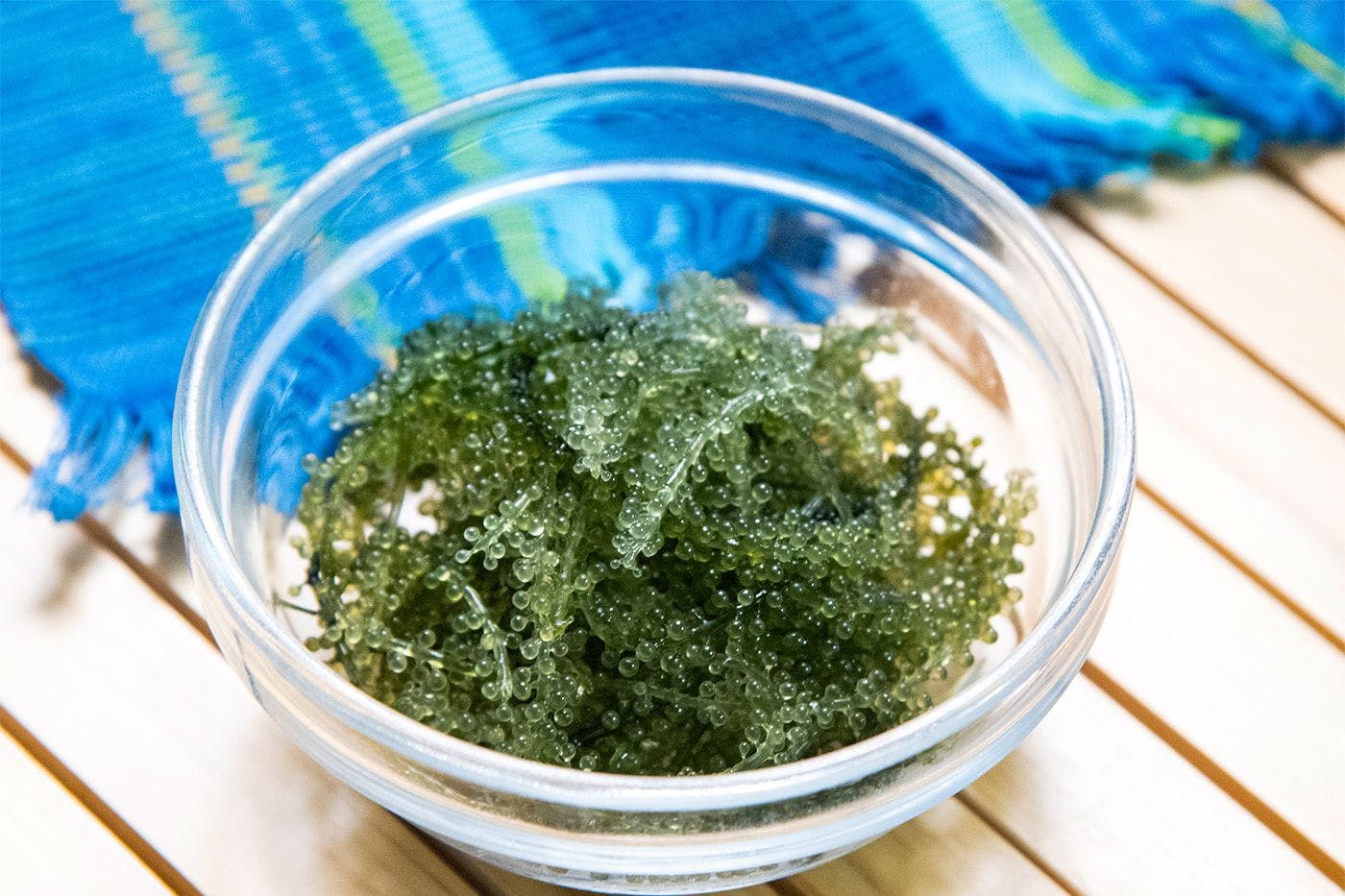 ไอศกรีม