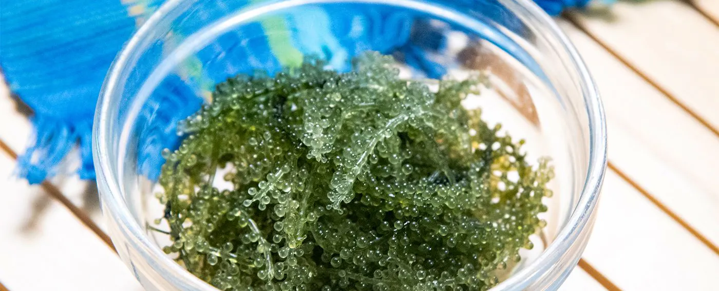 ไอศกรีม