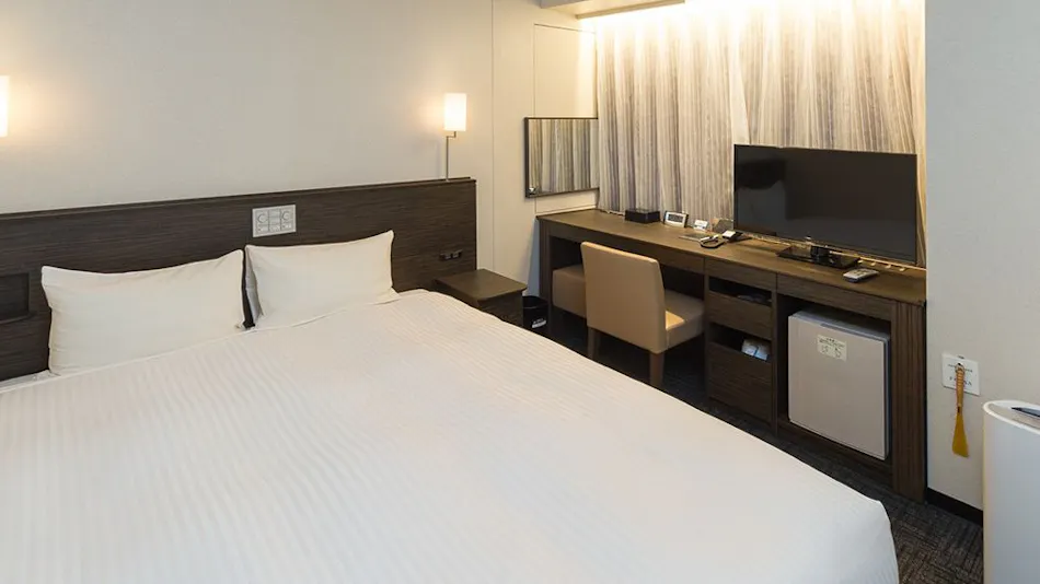 Sotetsu Fresa Inn Ochanomizu-Jimbocho