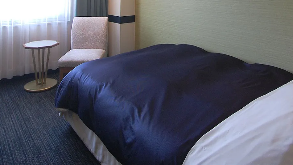 Hotel Excel Okayama