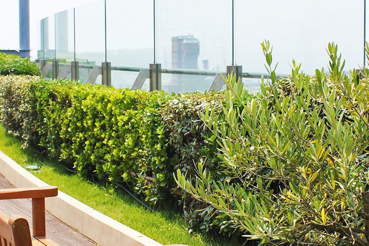 spa hotel舞浜ユーラシア の空室状況を確認する 宿泊予約は 一休 Com spa hotel舞浜ユーラシア の空室状況を確認する 宿泊予約は 一休 Com