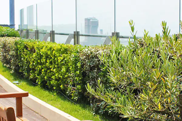 สิ่งอำนวยความสะดวกภายในโรงแรม