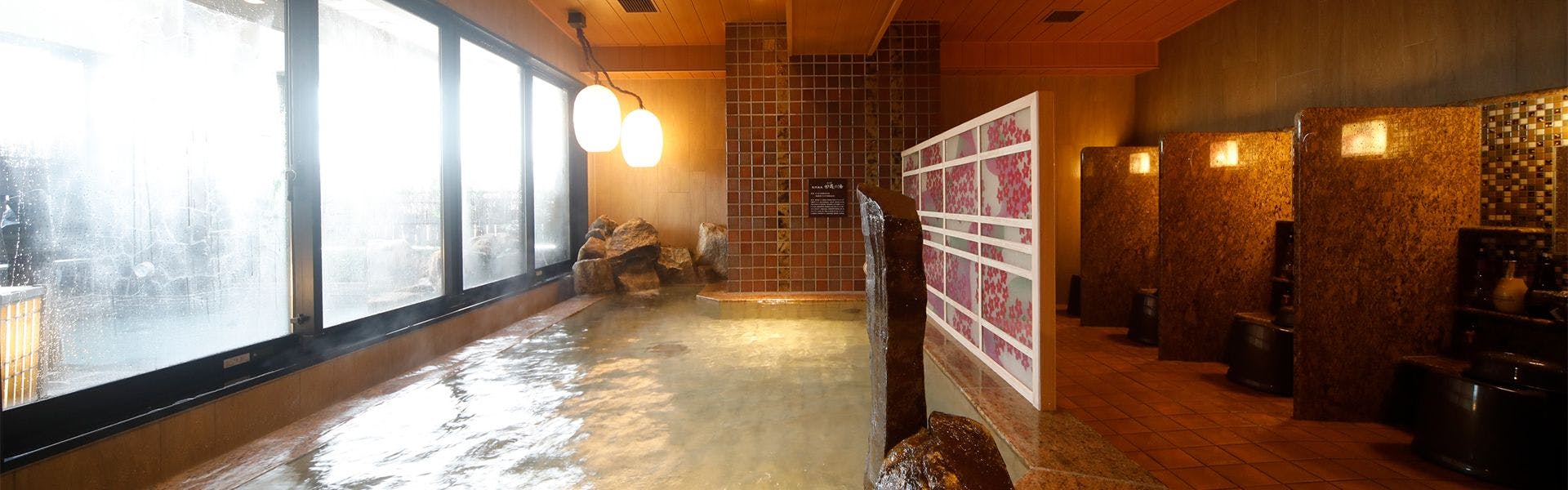 Natural Hot Spring Myogi no Yu Dormy Inn Maebashi