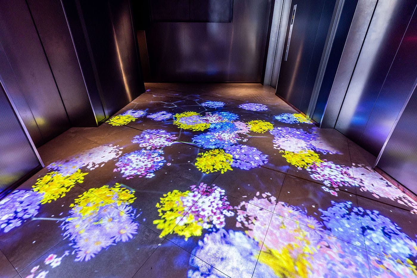 館内施設｜18階・EVホール（泳ぐ金魚に触れると、お花に変化します）