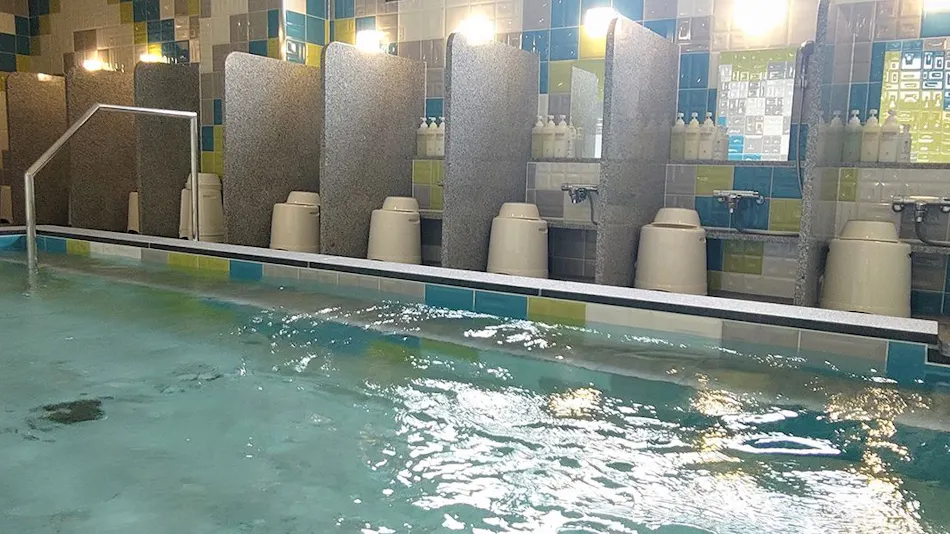 Green Rich Hotel Yonago Ekimae (Artificial Hot Spring Futamata Yunohana)