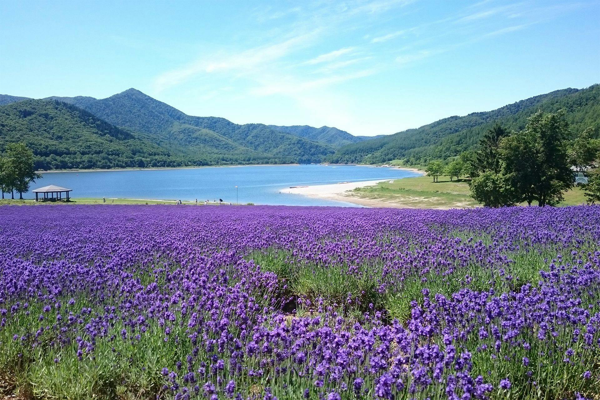フェアフィールド･バイ･マリオット･北海道南富良野