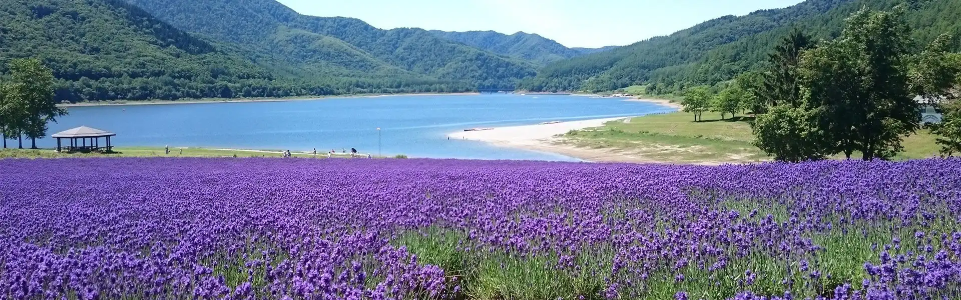 風景