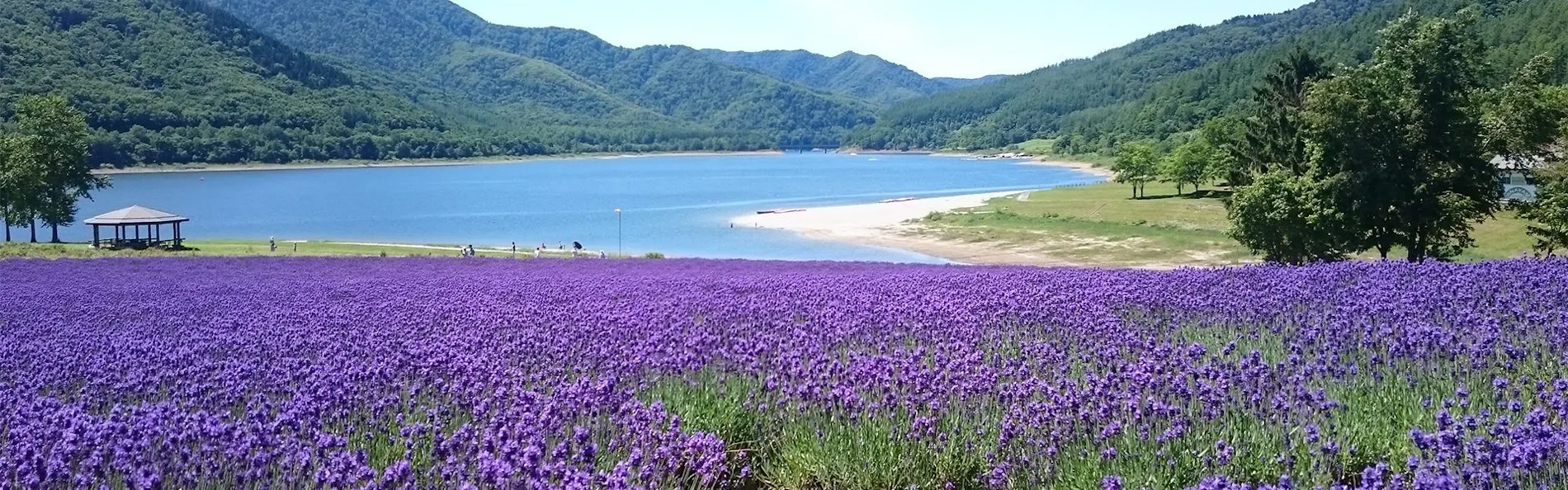 フェアフィールド・バイ・マリオット・北海道南富良野