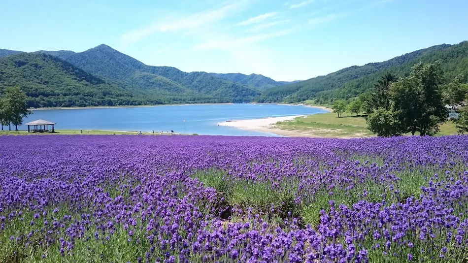 Fairfield by Marriott Hokkaido Minamifurano