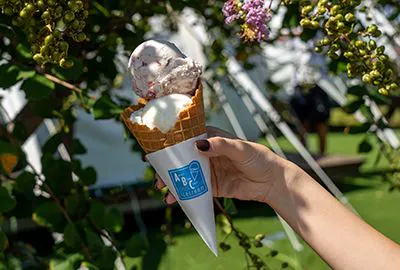 アイスクリーム Awaji Blue Coast icecream