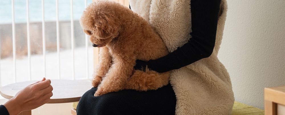 KAMOME SLOW HOTEL THE COMPACT