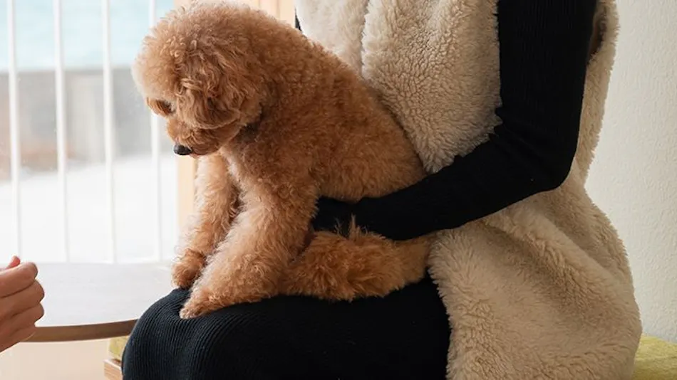 KAMOME SLOW HOTEL THE COMPACT