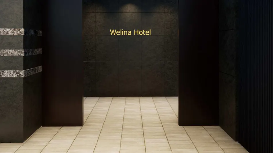 Welina Hotel Osaka Namba
