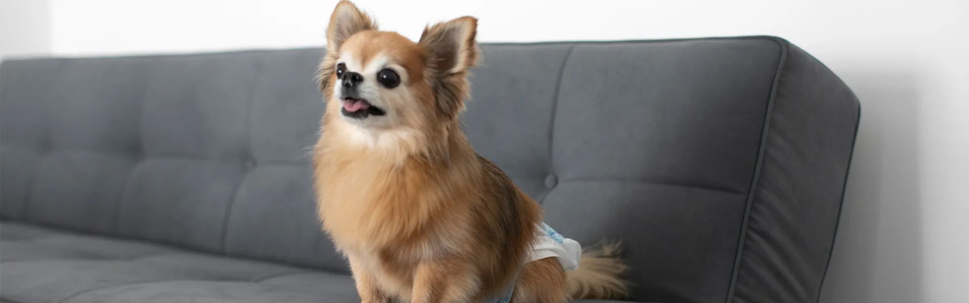 ホテルトーイン京都