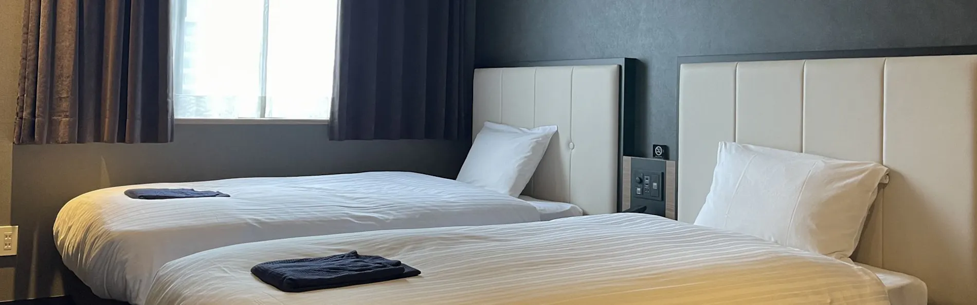 Welina Hotel Premier 中之島West