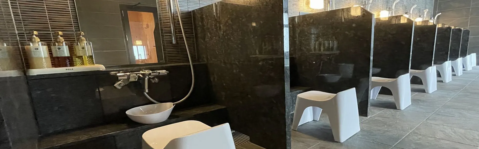 Welina Hotel Premier 中之島West