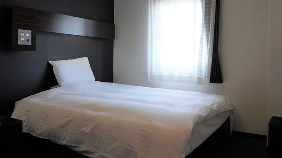 Green Rich Hotel Iwakuni Ekimae (Artificial Hot Spring Futamata Yunohana)