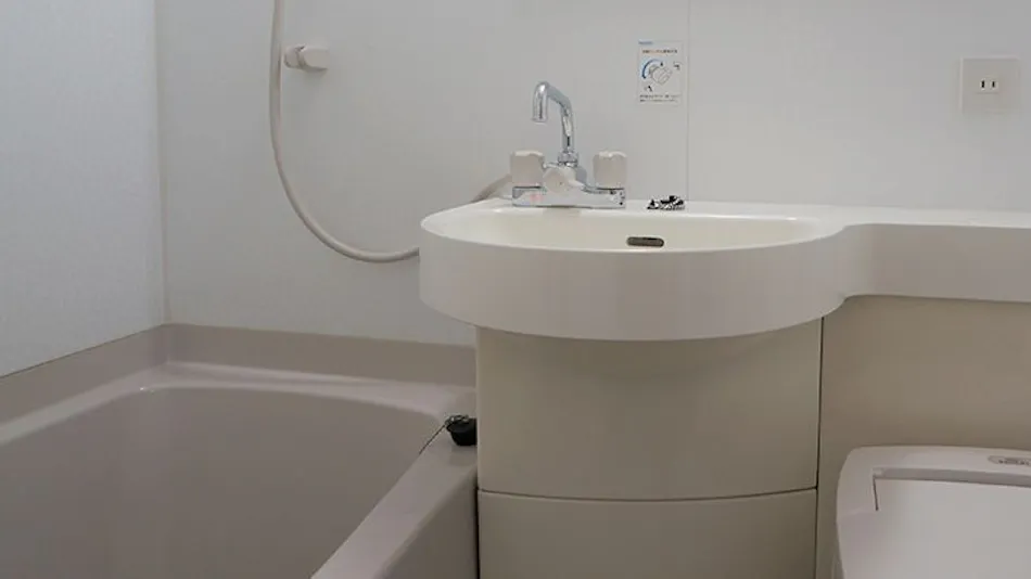 Green Rich Hotel Iwakuni Ekimae (Artificial Hot Spring Futamata Yunohana)