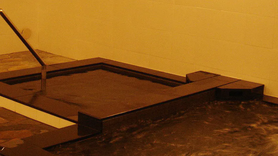 Green Rich Hotel Matsue Ekimae (Artificial Hot Spring Futamata Yunohana)