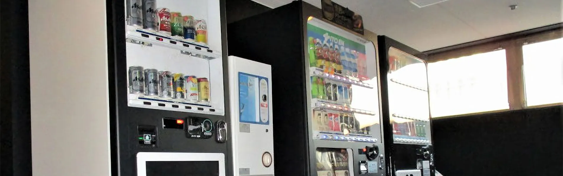 グリーンリッチホテル松江駅前(人工温泉 二股湯の華)