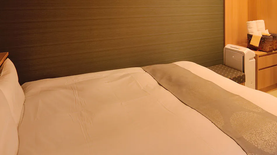 Natural Hot Spring Tsurugi no Yu Onyado Nono Toyama (Dormy Inn Chain)