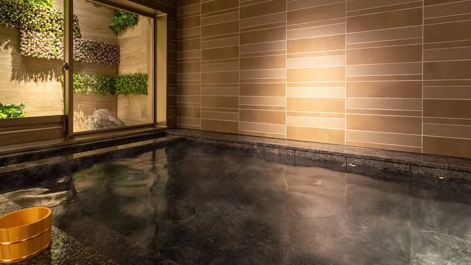Natural Hot Spring Hinata no Yu Super Hotel Premier Miyazaki Ichibangai