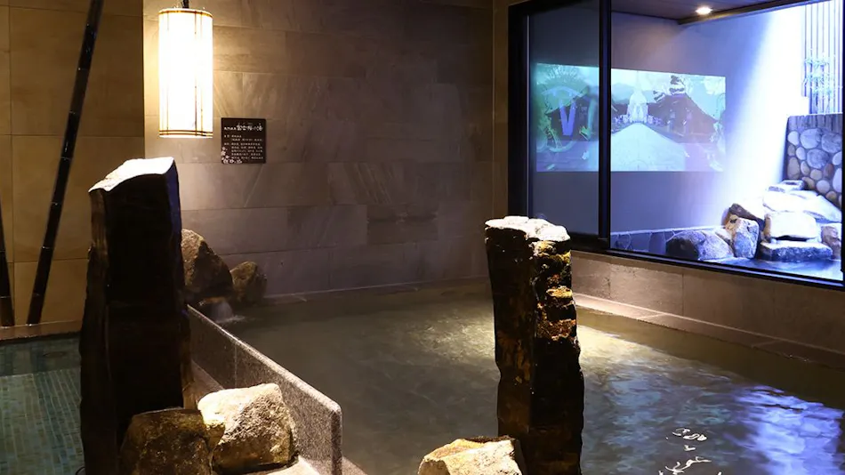 Natural Hot Spring Fuji Sakura no Yu Dormy Inn EXPRESS Mt. Fuji Gotemba