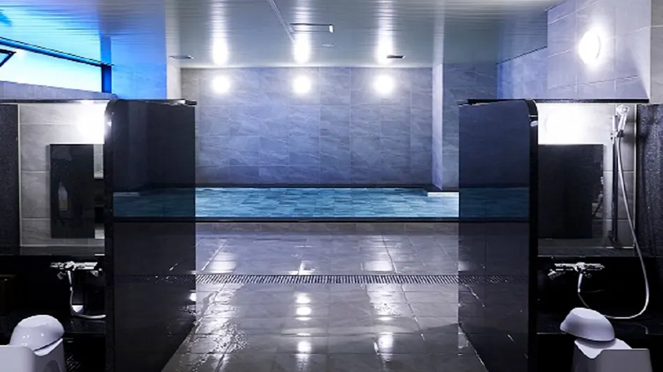 Daiwa Roynet Hotel Sapporo Nakajima Park