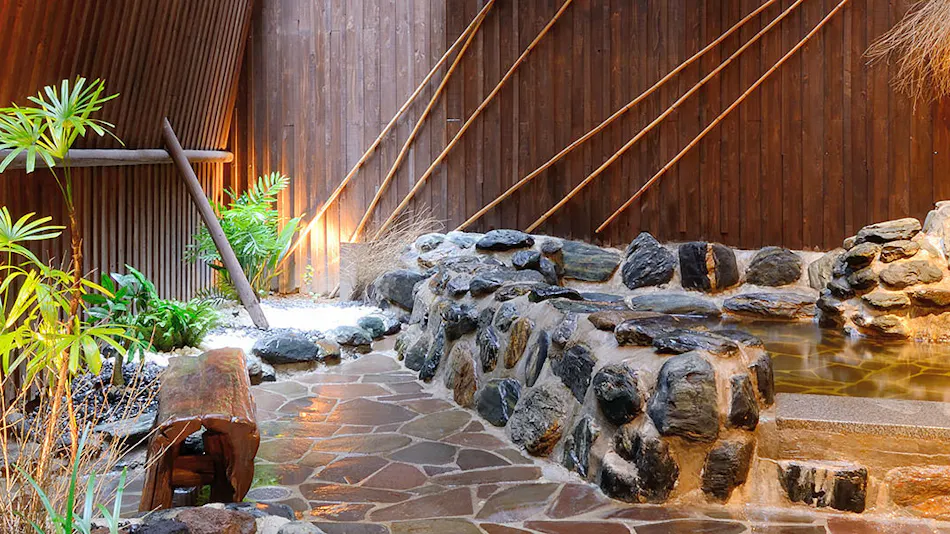 Natural Hot Spring Aoba no Yu Dormy Inn Sendai ANNEX