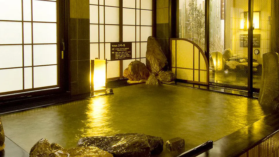 Natural Hot Spring Sanshu no Yu Dormy Inn EXPRESS Mikawa Anjo