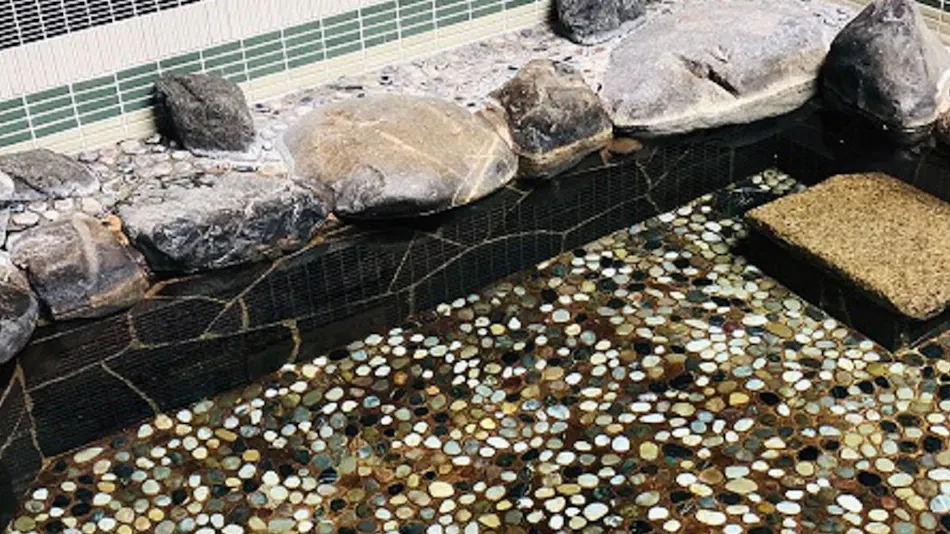 Natural Hot Spring Hanahotaru no Yu Dormy Inn PREMIUM Kyoto Ekimae