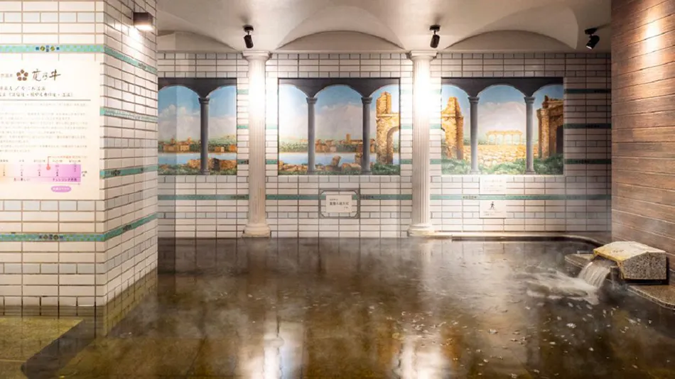 Natural Hot Spring Yumoto Hananoi Super Hotel Osaka Natural Hot Spring