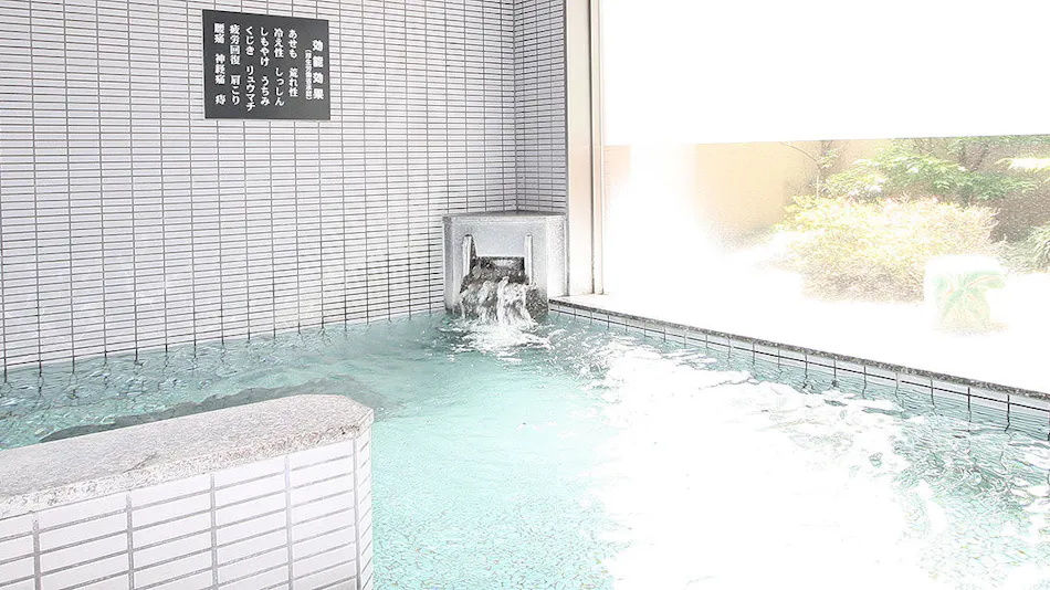 Green Rich Hotel Aso Kumamoto Airport (Artificial Hot Spring Futamata Yunohana)