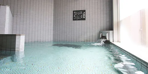 グリーンリッチホテルあそ熊本空港(人工温泉 二股湯の華)