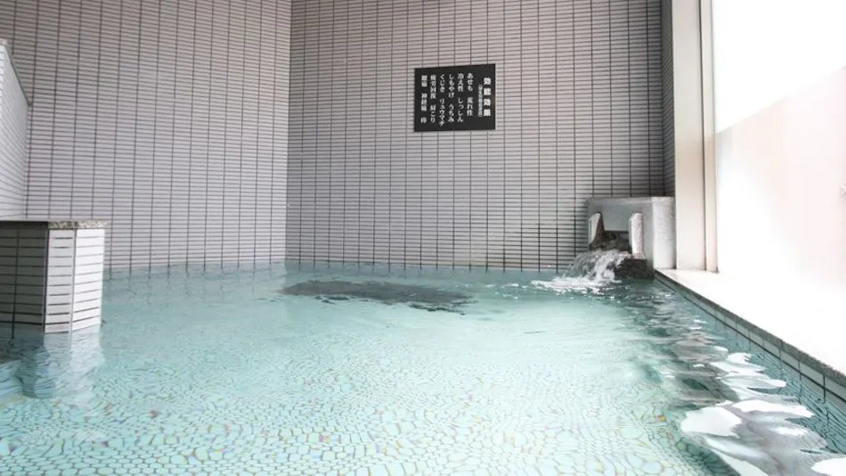 Green Rich Hotel Aso Kumamoto Airport (Artificial Hot Spring Futamata Yunohana)