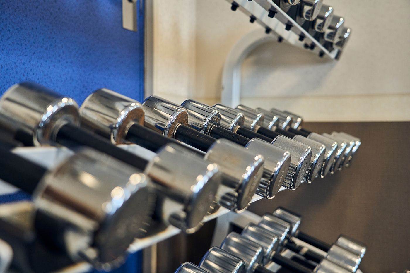 ยิมกึ่งส่วนตัว "Rex Gym"