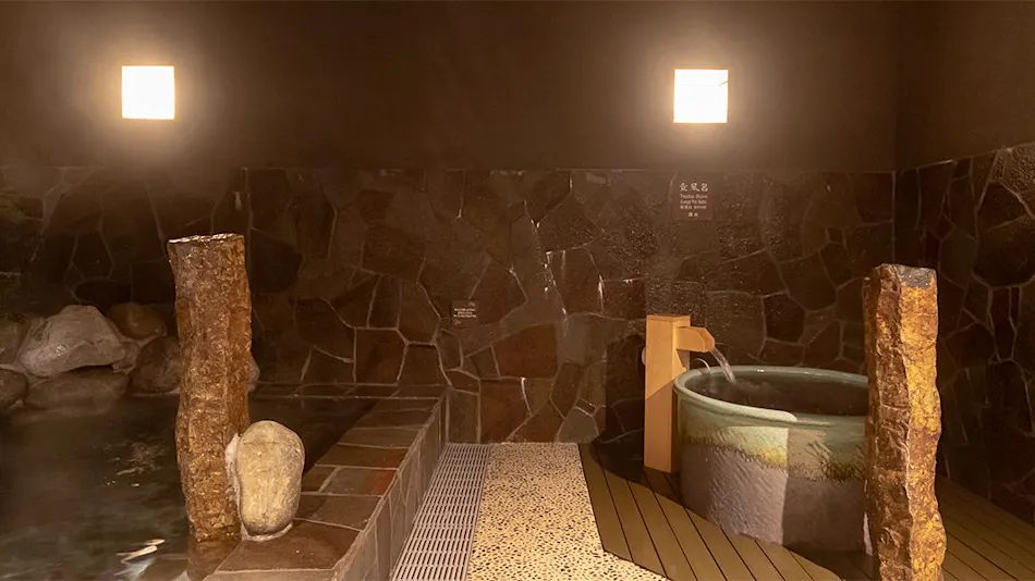 Natural Hot Spring Habutae no Yu Dormy Inn PREMIUM Fukui