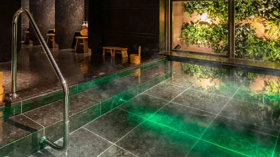 Natural Hot Spring Oku-Yugawara no Yu Super Hotel Premier Ginza